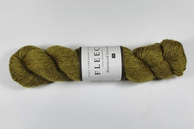 WYS - Bluefaced Leicester Fleece DK - 1038 Fellside